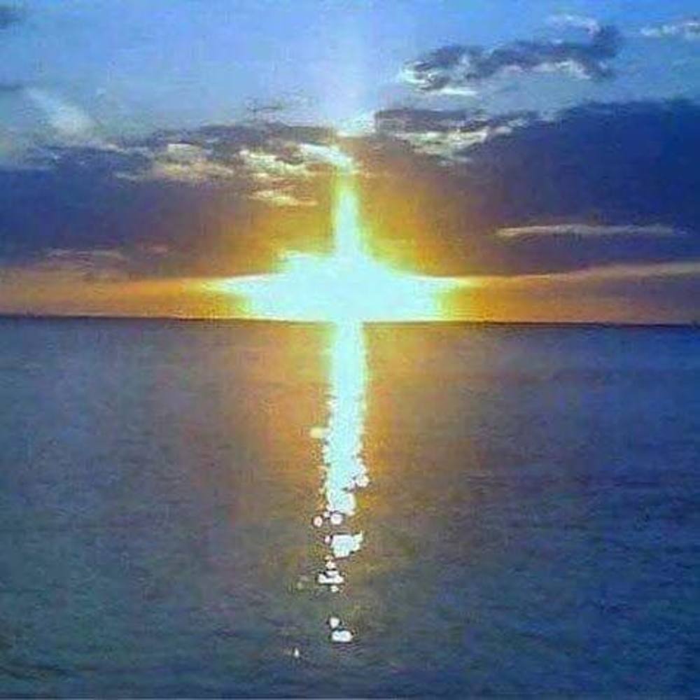 Meet your Posher, Merry